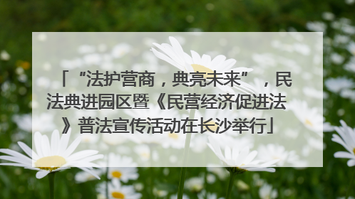 “法护营商，典亮未来”，民法典进园区暨《民营经济促进法》普法宣传活动在长沙举行